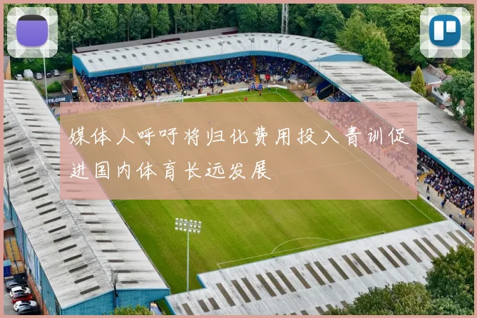 媒体人呼吁将归化费用投入青训促进国内体育长远发展